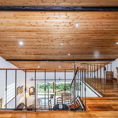 Ivy By Homie São Roque do Faial