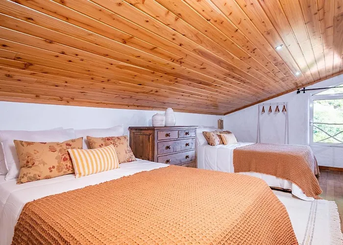 Ivy By Homie São Roque do Faial