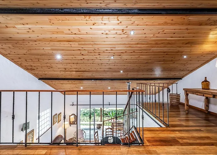 Ivy By Homie São Roque do Faial