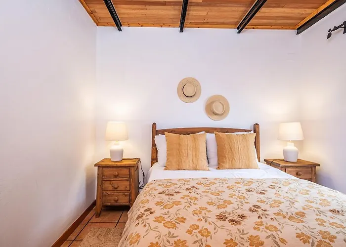 Ivy By Homie * São Roque do Faial